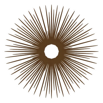 Un dise&ntilde;o gr&aacute;fico abstracto de un sol estilizado con rayos marrones radiantes que emanan desde un centro circular sobre un fondo blanco limpio y minimalista.