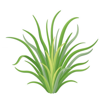Ilustraci&oacute;n vectorial de un manojo de hierba verde y fresca aislada sobre fondo blanco, ideal para elementos de dise&ntilde;o de naturaleza, ecolog&iacute;a y jardiner&iacute;a.