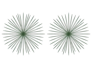 Fototapeta premium Ilustración de dos iconos de destellos circulares con líneas radiales de color verde oscuro aislados sobre fondo blanco.