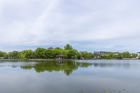 Tranquil Lake Park with Pavilion and Tree Reflections