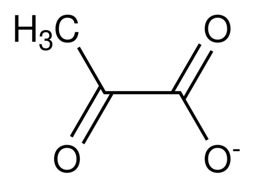 Pyruvat Chemische Strukturformel Molek&uuml;l