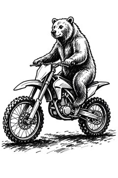 orso che guida un a moto cross