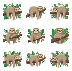 Naklejka premium Cute cartoon sloths hanging on tree branches with green leaves