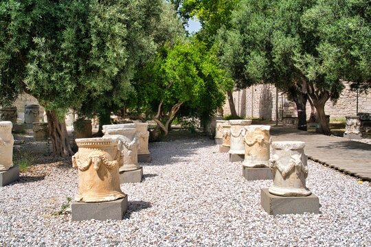 Ancient carved marble altars placed along a gravel path under olive trees in a Mediterranean garden.