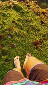 Vertical video. Bare Foot Stepping Across Rocky Tide Pools Covered With Colorful Algae Along a Tropical Shore