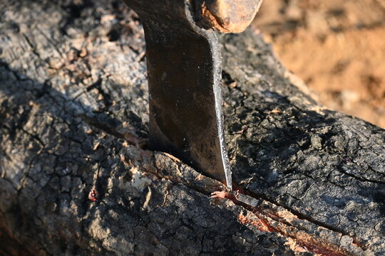 A person using a traditional hand axe to hew a rough wooden log resting. Traditional manual wood-chopping axe with a metal head and wooden handle. Commonly used in rural and village settings.