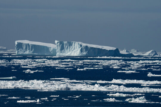 Icebergs, Julianehabsfjord, Greenland