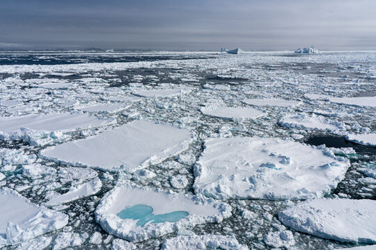 Sea ice, Julianehabsfjord, Greenland