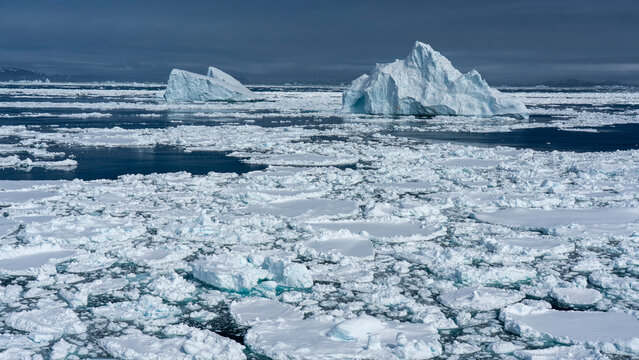 Icebergs and sea ice, Julianehabsfjord, Greenland