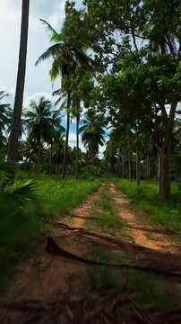 Vertical video. First Person FPV Drone Flying Fast Along a Dirt Road Between Tropical Coconut Palm Trees, Wide Angle Perspective, Dynamic Motion, Travel, Adventure and Nature