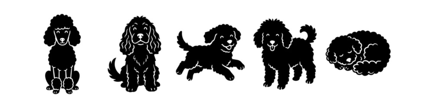 Set of black poodle and doodle dog silhouettes in various poses including sitting, running, and sleeping. Cute vector illustrations of curly-haired pups isolated on a white background.