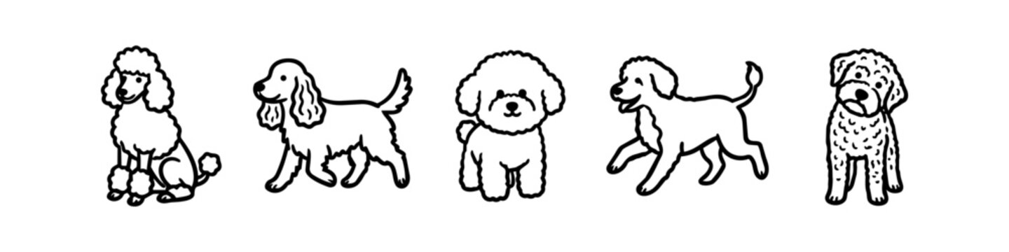 Set of minimalist hand-drawn black and white line art illustrations of various curly-haired dog breeds. Cute doodle icons of poodles, spaniels, and bichon frise on white background.
