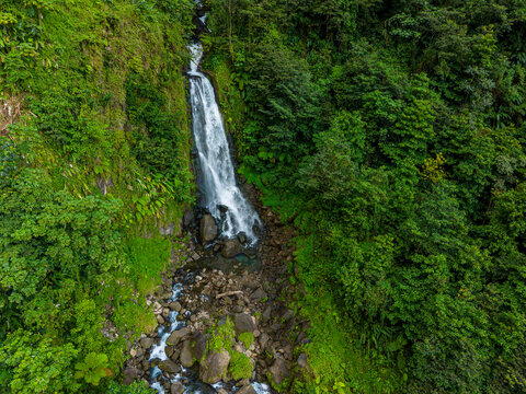 Waterfall descends from mountain through lush vegetation in Dominica