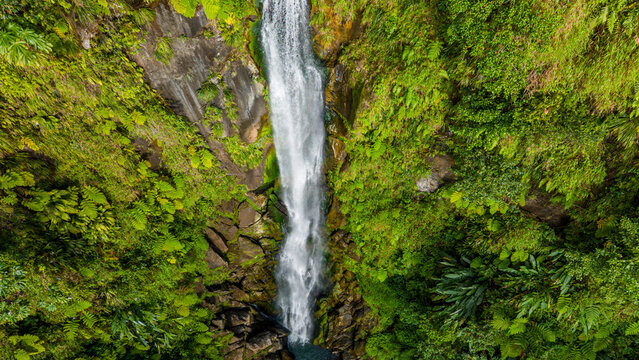 Water flows down Trafalgar Falls in a lush landscape with tropical plants in Morne Trois Pitons National Park