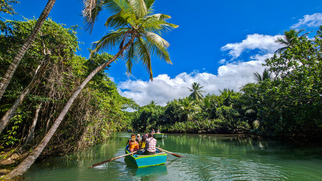 Exploring the Indian River with local guides during a sunny day in Dominica