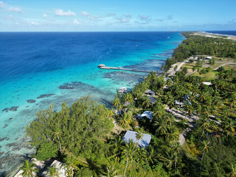 Greenery surrounds resort near clear waters in tropical location
