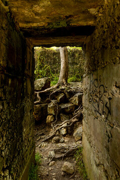 Views from a hiking trail through stone structures and natural elements in Karangahake Gorge, North Island, New Zealand