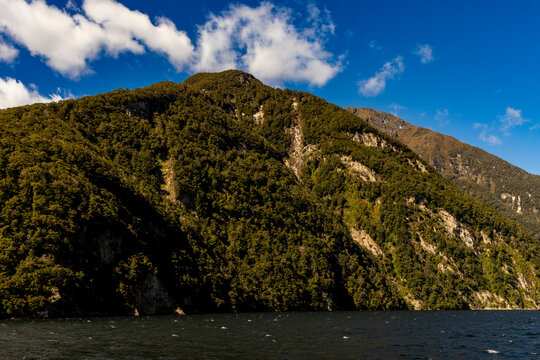 Views of mountains and water in Doubtful Sound with trees and clouds in the sky captured during a clear day in New Zealand