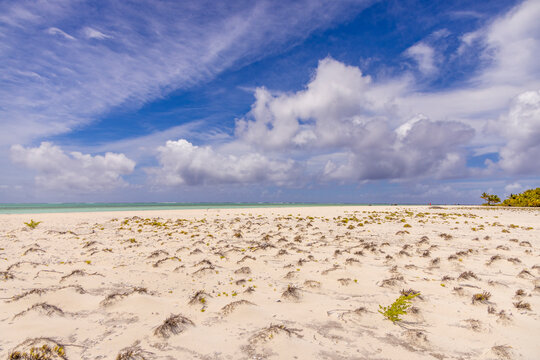 Boat tour to Honeymoon Island in the lagoon near Aitutaki Island in the Cook Islands during a sunny day