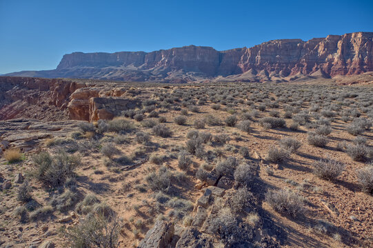 Paria Plateau from Soap Creek Mesa offers a view of the rocky landscape in Vermilion Cliffs National Monument Arizona