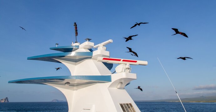Frigate Birds follow a tourist boat near Kicker Rock close to San Cristobal Island in Galapagos, Ecuador