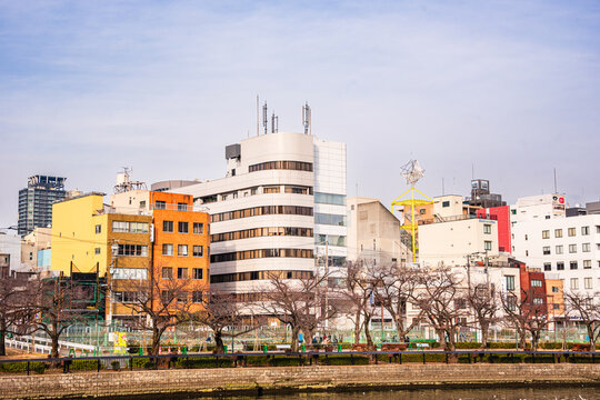 Colorful buildings and bare trees along the riverbank near Nakanoshima Park in Osaka under clear skies