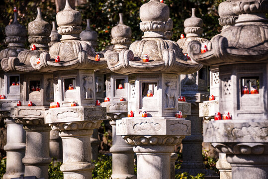 Rows of stone lanterns with Daruma dolls at a temple in Japan capture cultural tradition and devotion