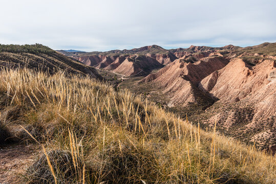 Golden grass and clay hills reveal rugged terrain in Badlands of Purullena, a unique landscape in southern Spain near Granada