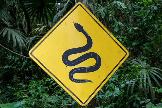 Wildlife warning sign shows snake in forest at archaeological site in Guatemala reminding visitors of native species