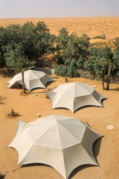 Tents set among palm trees in the desert at Ksar Ghilane resort, Tunisia, with sand dunes in the background