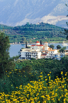 View of buildings and landscape near water in Palaia Epidavros, with hills and flowers in the foreground