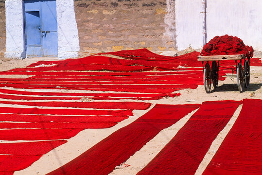 Dyed and printed fabric strips laid out to dry in a village area of Kutch district in Gujarat, India