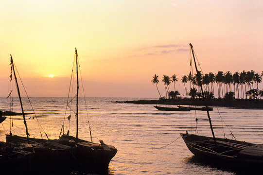 Fishing boats at sunset near the mouth of the River Pongo in Guinea with palm trees in the background
