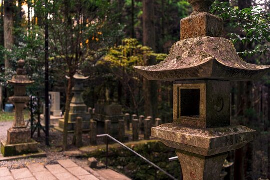 Stone lanterns guide the way through a forest path at Kamishikimi Kumanoimasu Shrine in Kumamoto, Kyushu, Japan