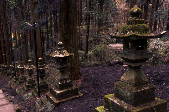 Stone lanterns line the stairway at Kamishikimi Kumanoimasu Shrine in a cedar forest setting in Kumamoto, Kyushu, Japan