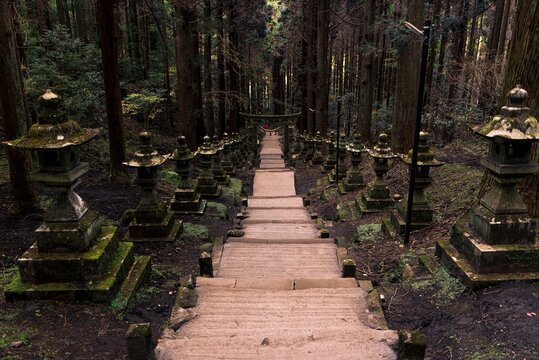 Stairs lead through stone lanterns in cedar forest at Kamishikimi Kumanoimasu Shrine in Minami Aso, Kumamoto, Kyushu, Japan