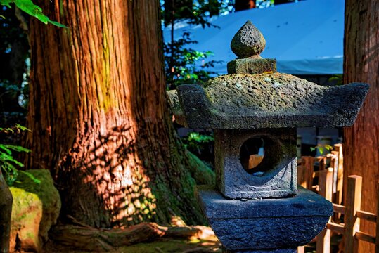Stone lantern stands beside ancient trees at Takachiho Shrine in Miyazaki, Japan, marking a sacred site dating back 1,900 years