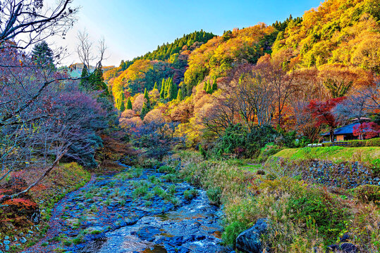 Autumn colours on display at Shiramizu Falls with trees and stream in Oita, Kyushu, Japan