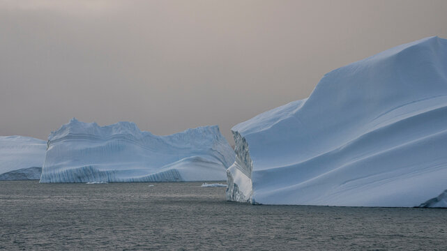 Icebergs drifting in King Edward Cove, Cumberland East Bay, South Georgia