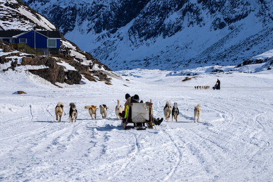 Dog sledge, Sisimiut, Greenland