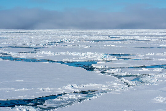 Ice pack, Baffin sea, Greenland