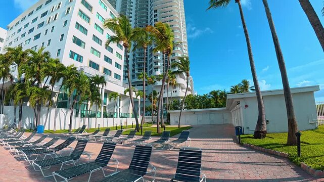 Empty pool lounge chairs surrounded by palm trees in Miami. Resort terrace with dark sunbeds brick pavement white buildings and green palms under blue sky.