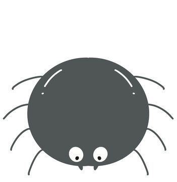 spider hanging on web