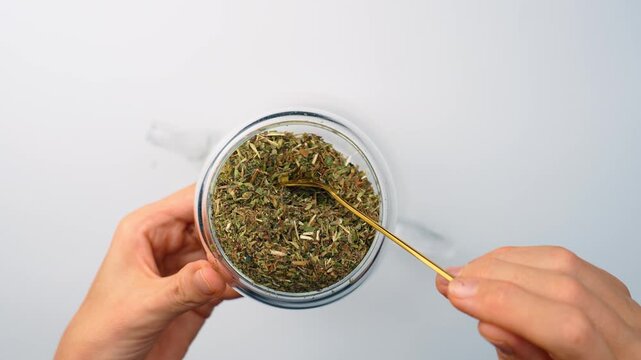 Dipping spoon in dry melissa leaves in glass jar. Top view, hands using yellow utensil inside transparent round container with green tea herbs on white backdrop.