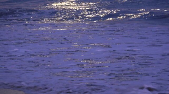 月光の波