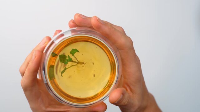 Top view of hands holding cup of brewed lemon balm tea. Two female hands holding round double wall mug filled with golden liquid and green mint leaf on white surface.