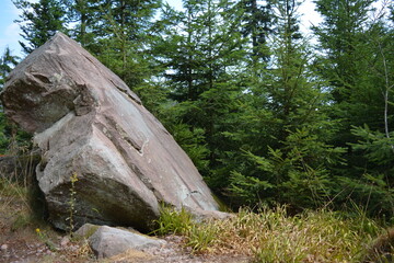 Large Granite Boulder Resting in a Dense Coniferous Forest Landscape with Vibrant Green Pine Trees © Лариса Крохмаль