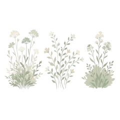 Fototapeta premium Set di tre illustrazioni vettoriali di piante selvatiche e fiori di campo in stile minimalista con colori pastello tenui su sfondo bianco, ideale per design decorativi e botanici.