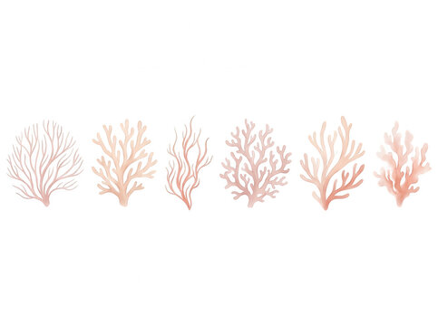 Set di sei illustrazioni acquerello di coralli marini in tonalit&agrave; rosa pastello isolate su sfondo bianco, perfette per design nautico, decorazioni estive o progetti grafici eleganti.
