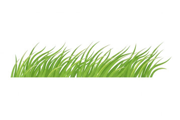 Fototapeta premium Illustrazione vettoriale di un ciuffo di erba verde fresca isolata su sfondo bianco, ideale per design naturalistici, progetti grafici primaverili o elementi decorativi per il web.